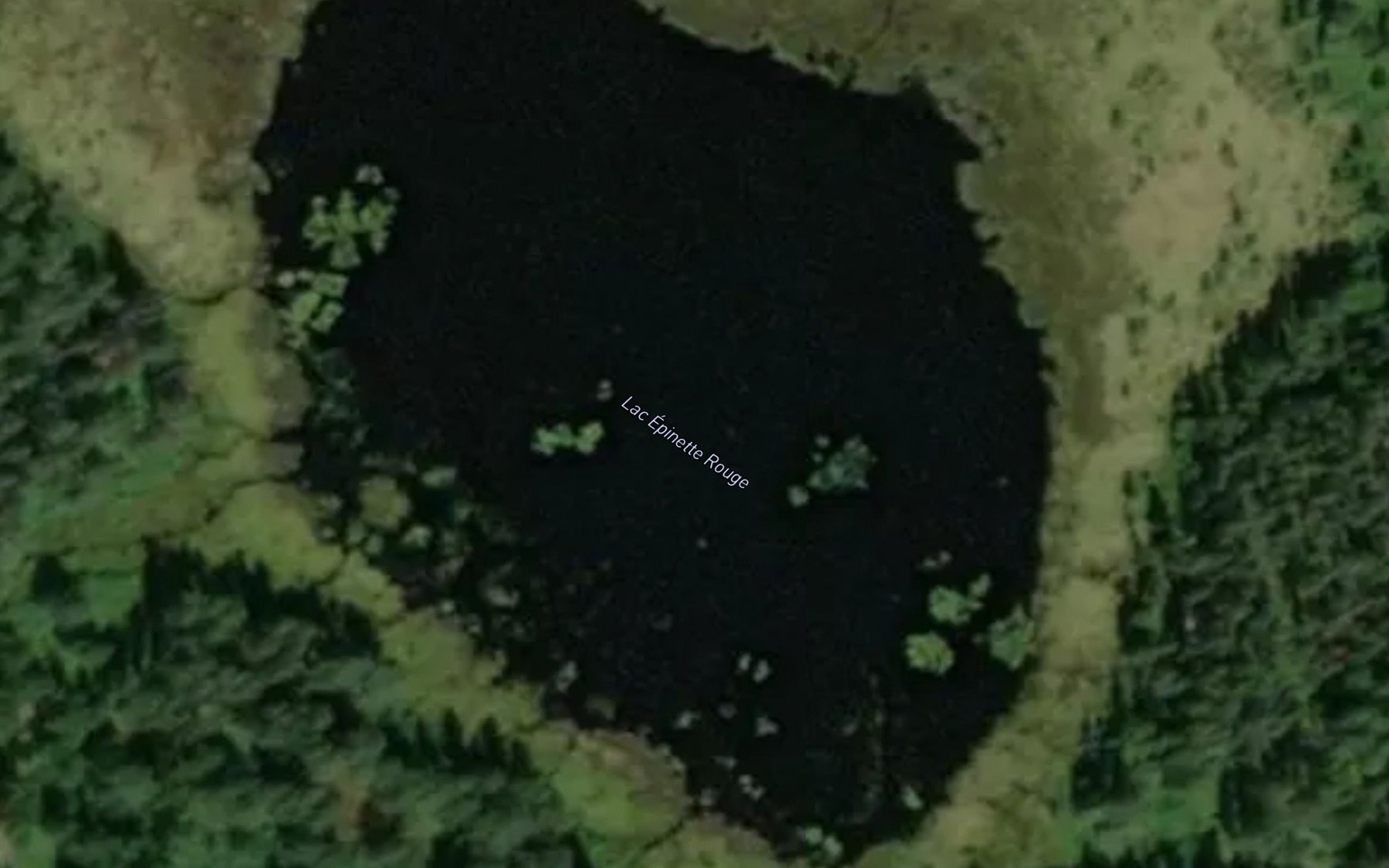Satellite map of the Lac Epinette Rouge