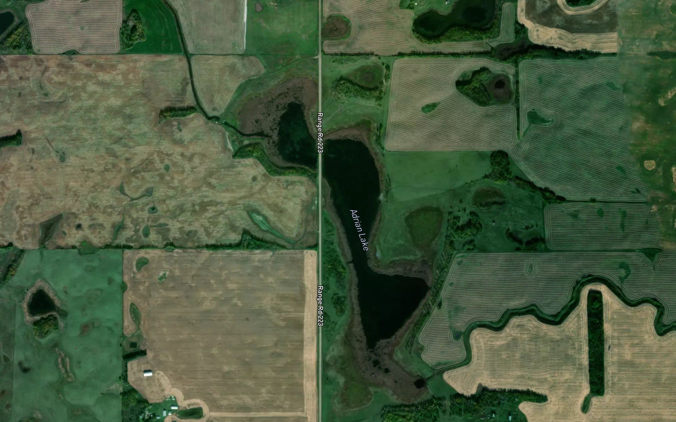 Adrian Lake