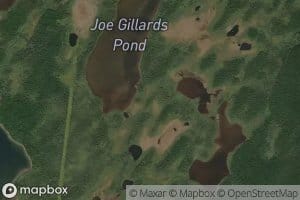 Joe Gillards Pond