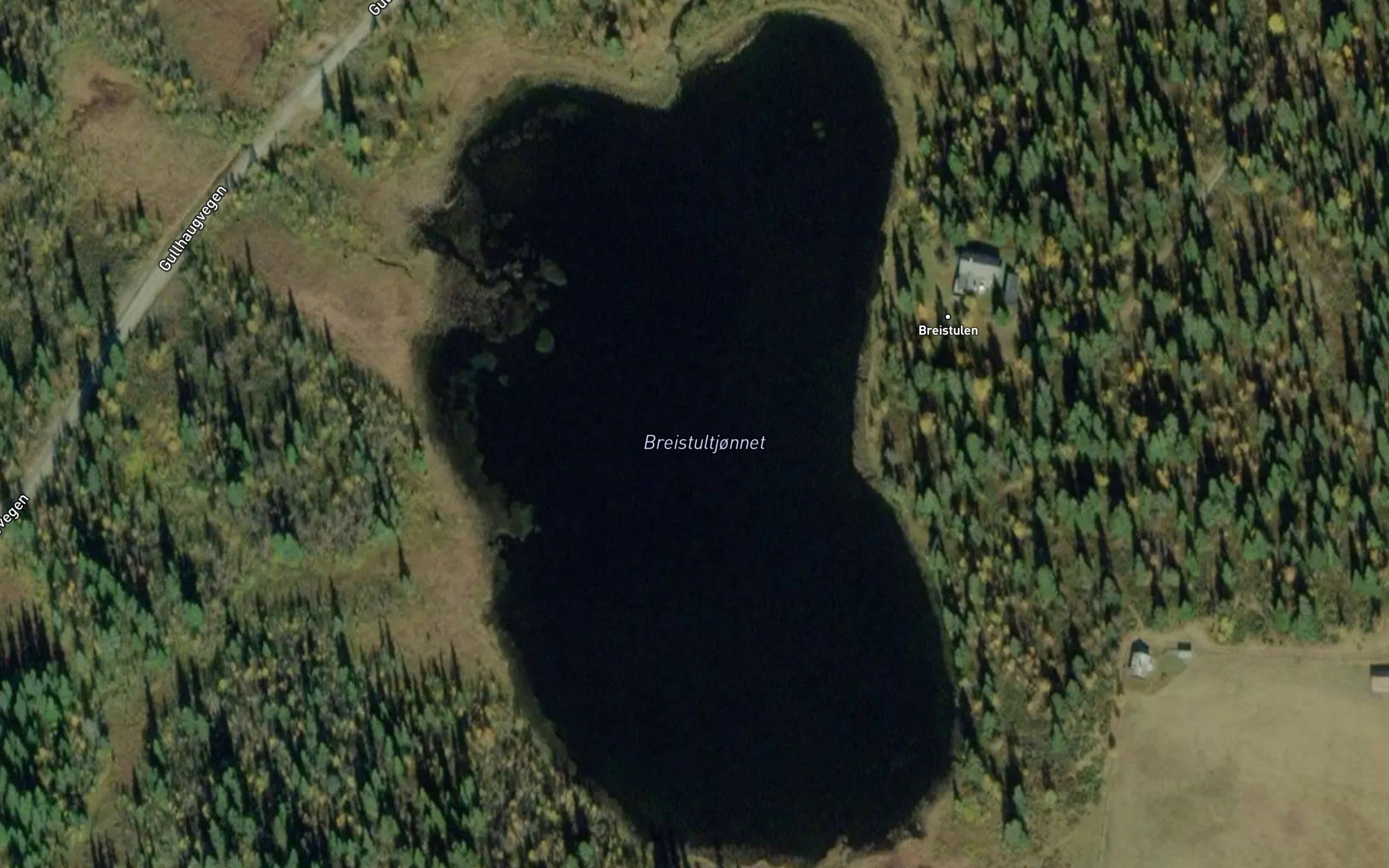 Breidstultjornet