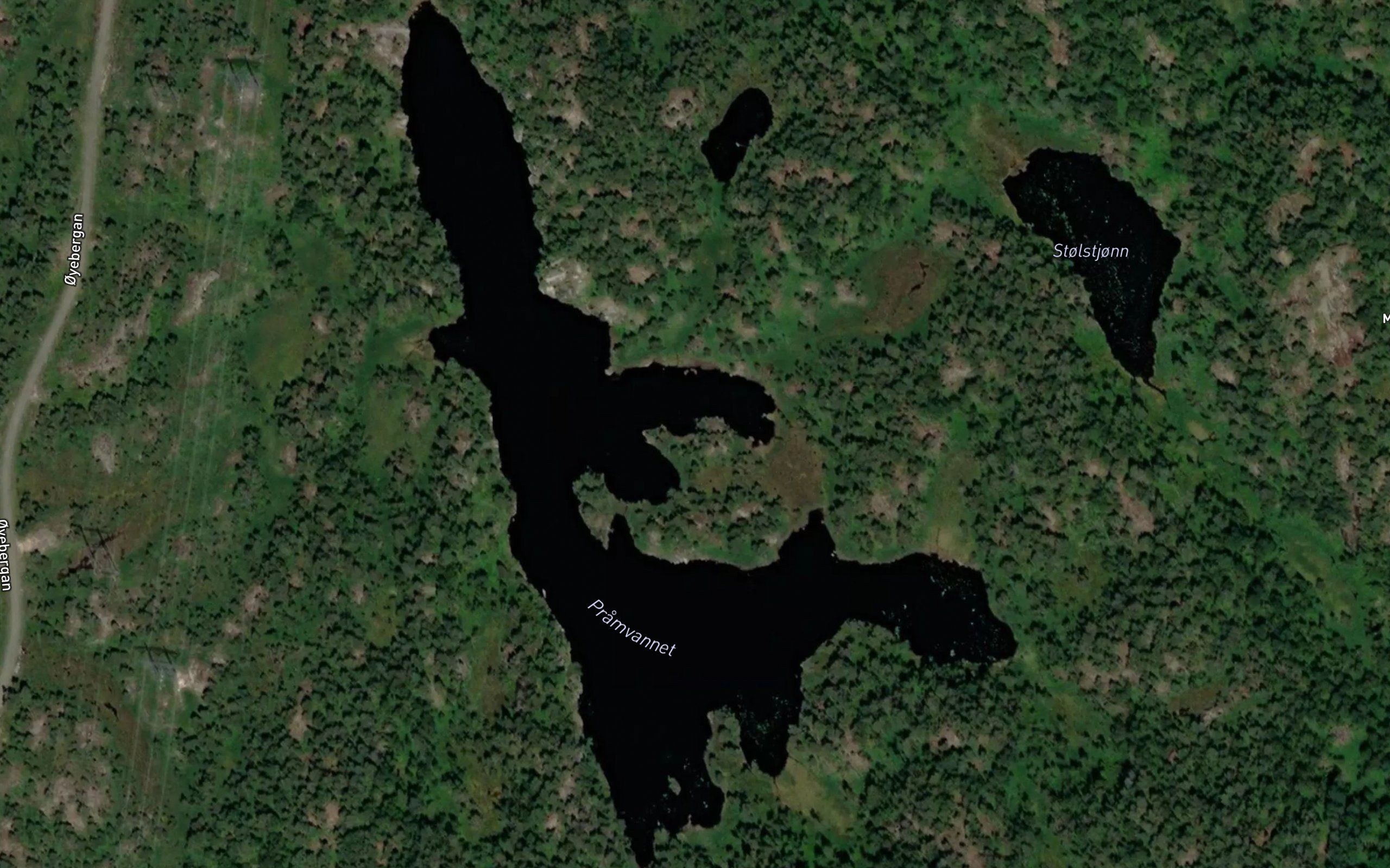 Pramtjorn