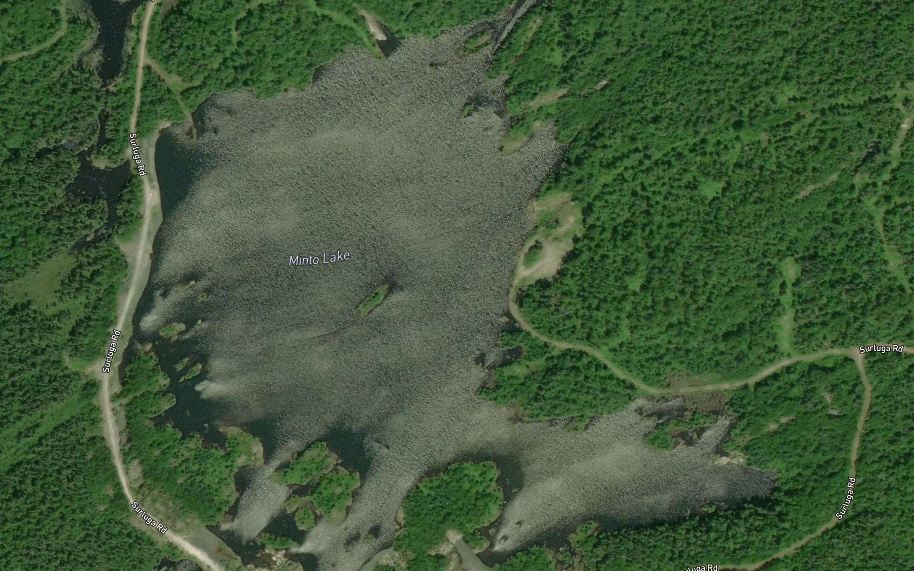 Satellite map of the Minto Lake