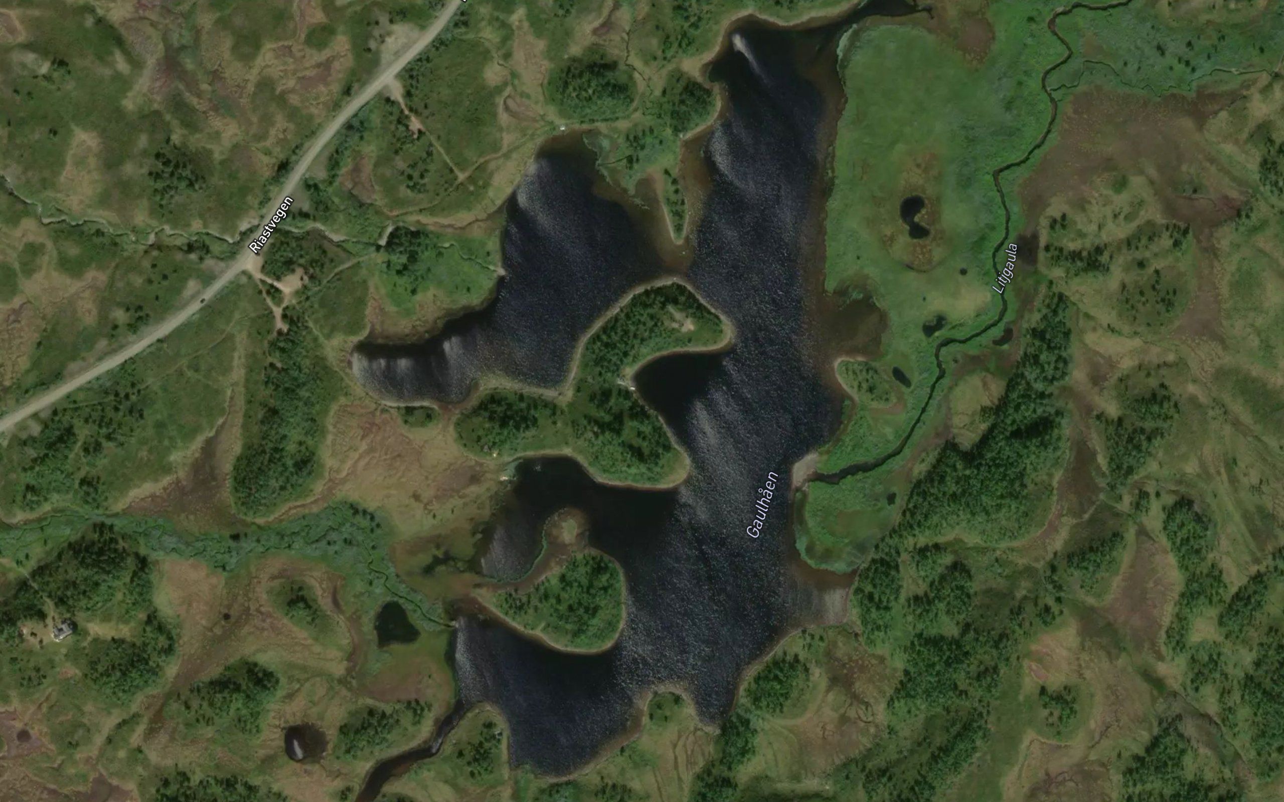 Gaulhaen