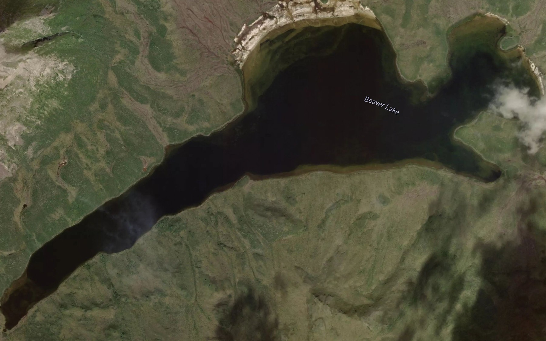 Satellite map of the Beaver Lake