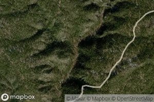 Twentyfour-Dart Spring