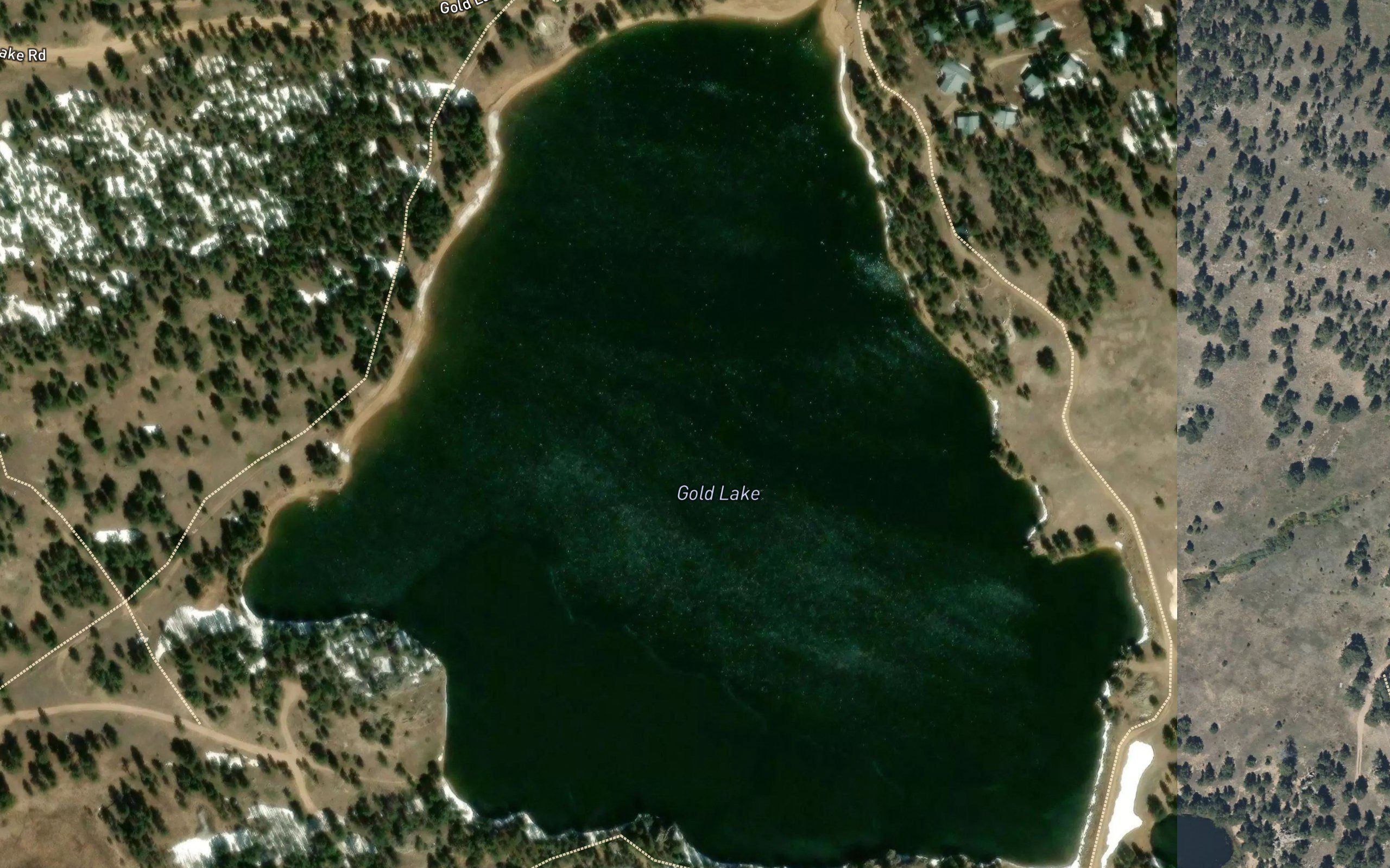 Gold Lake