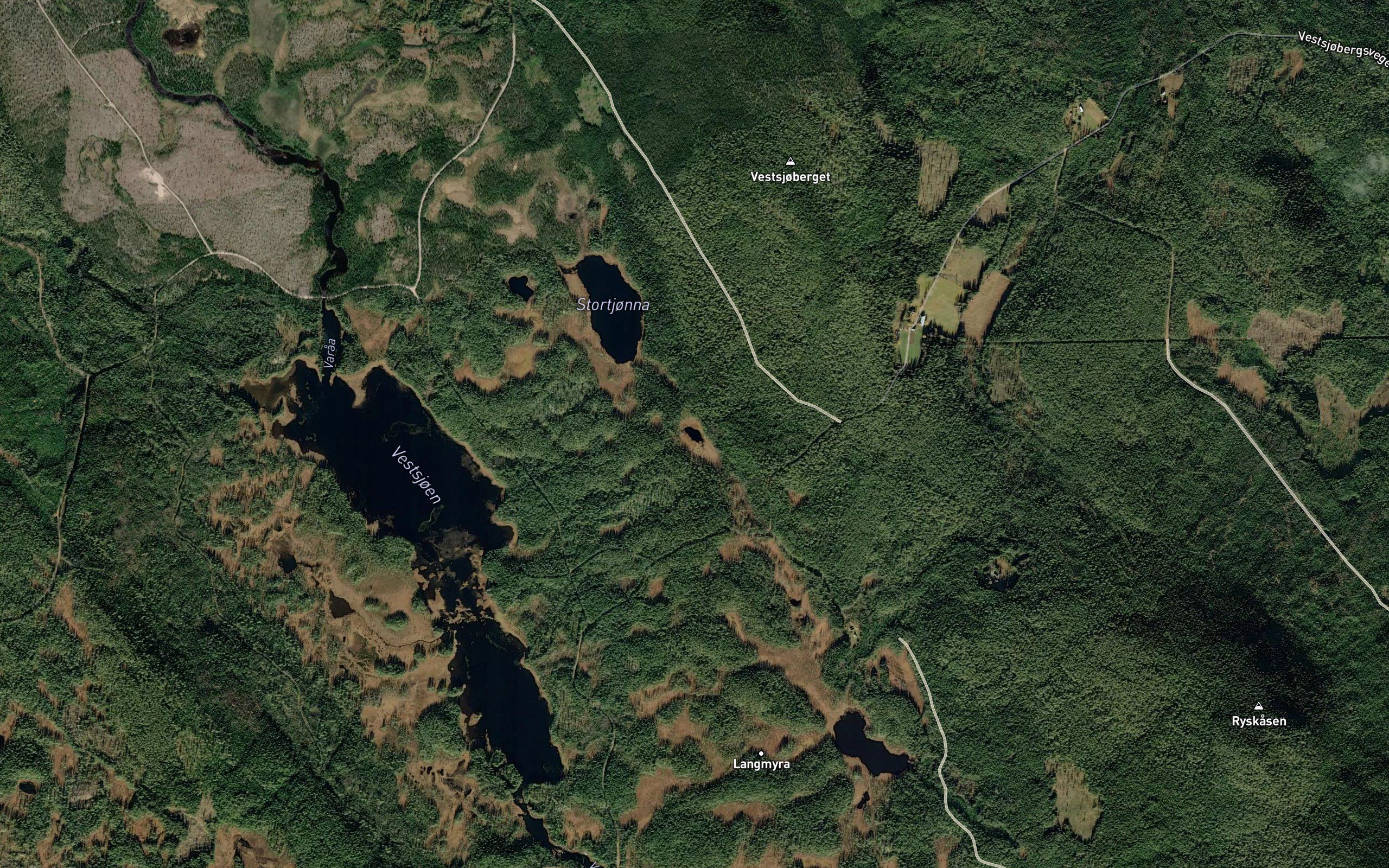 Vesltjorn