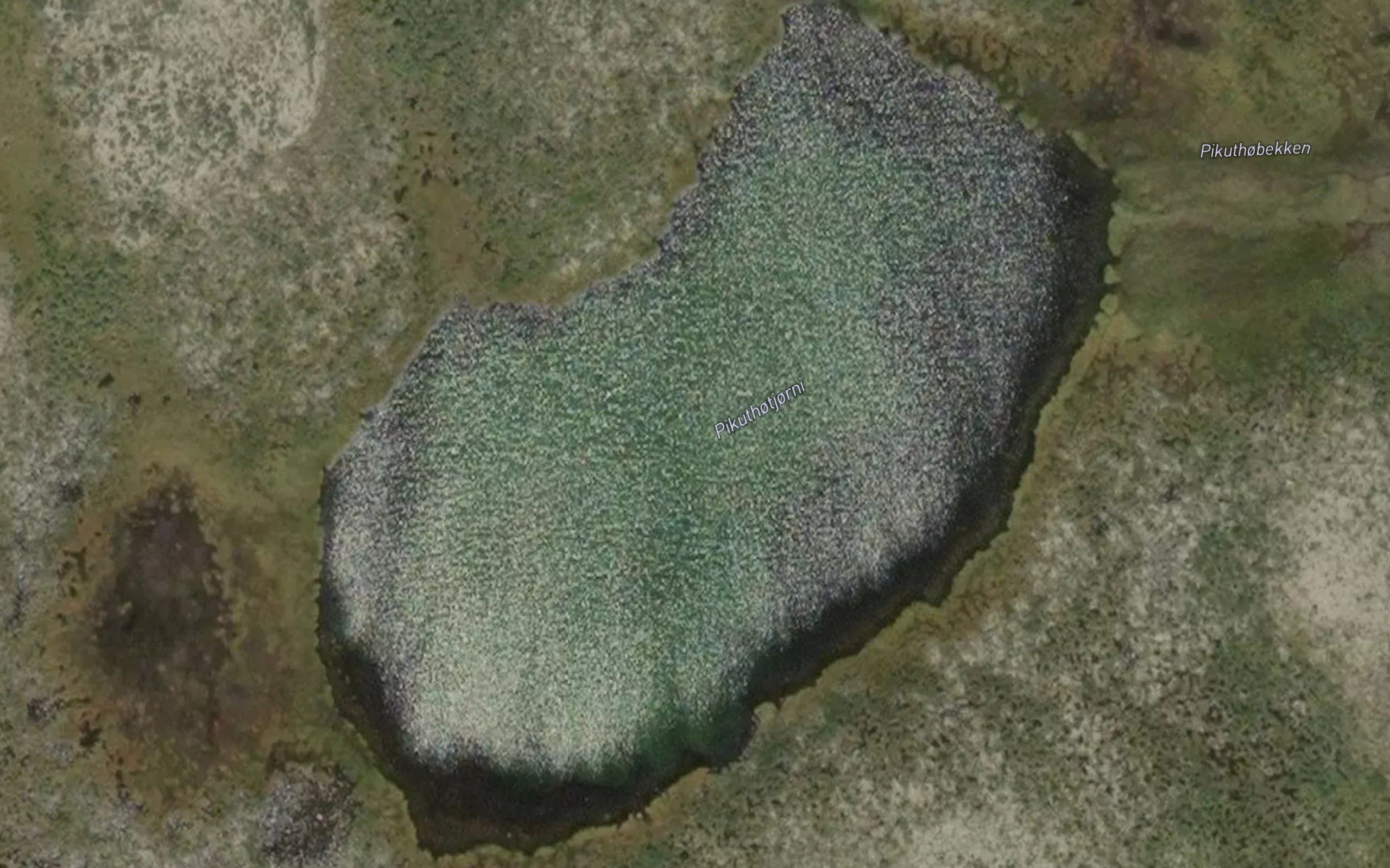 Pikuthotjorn