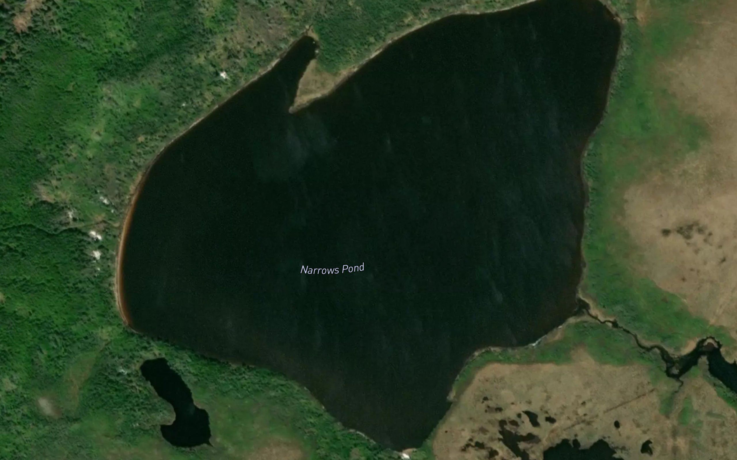 Narrows Pond