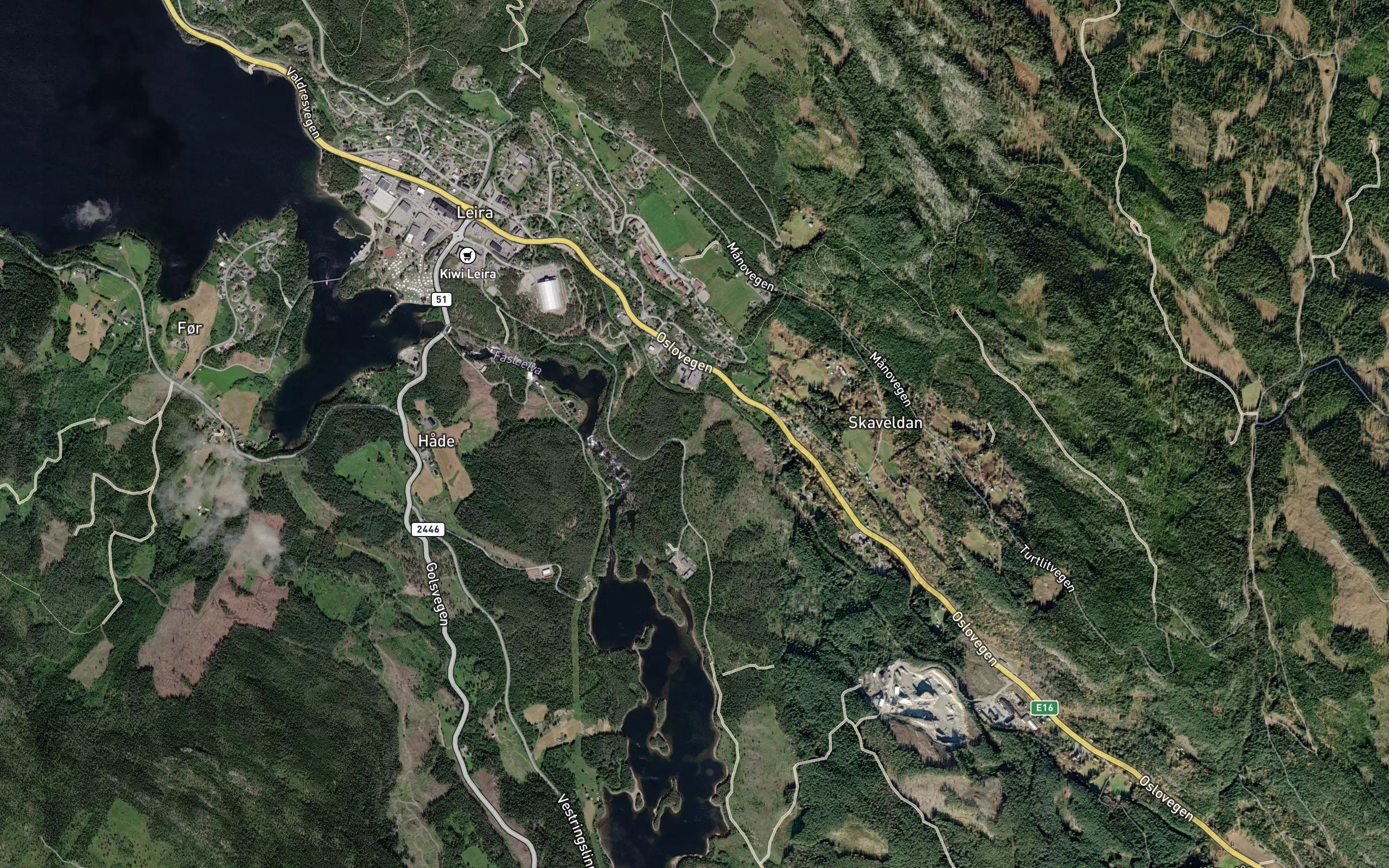 Brustogoelve