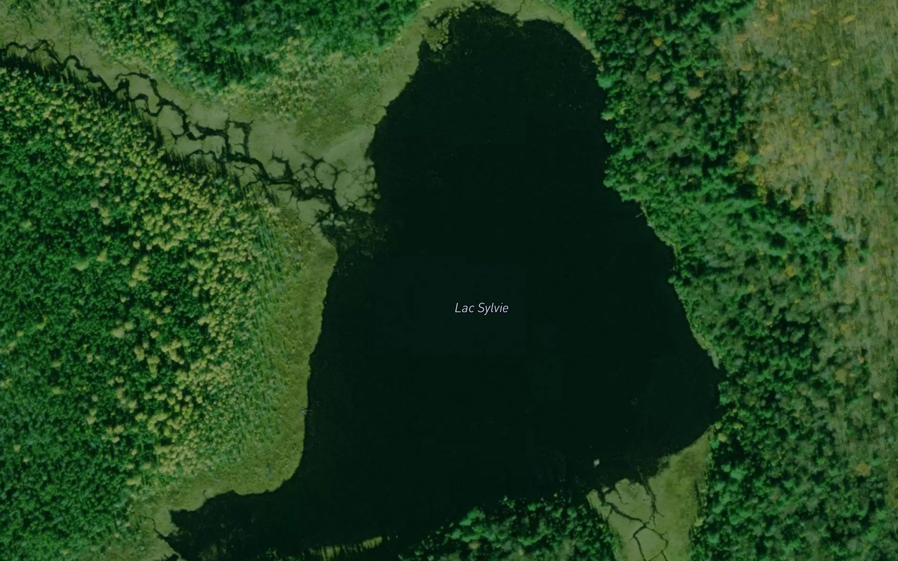 Satellite map of the Lac Sylvie