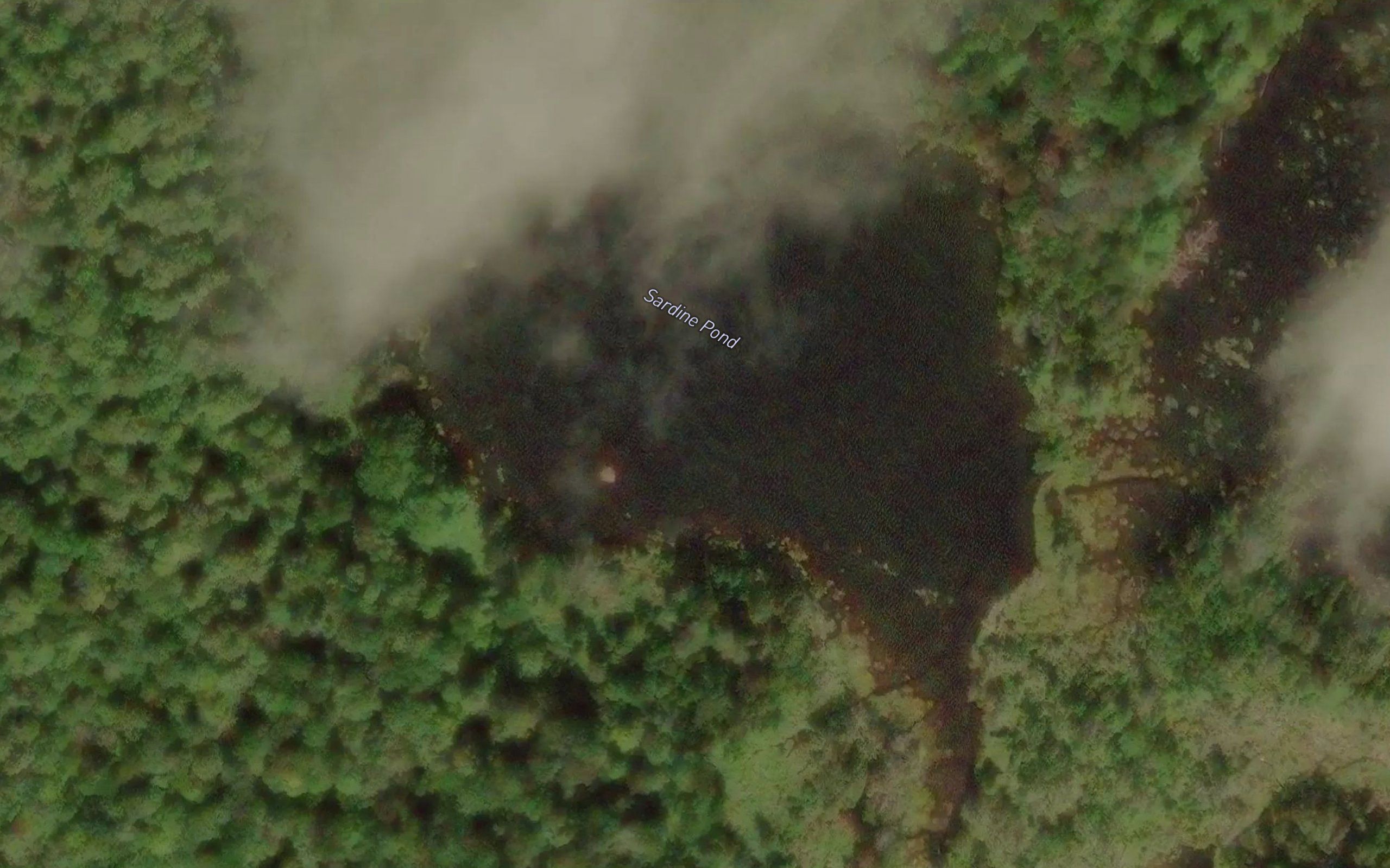 Sardine Pond