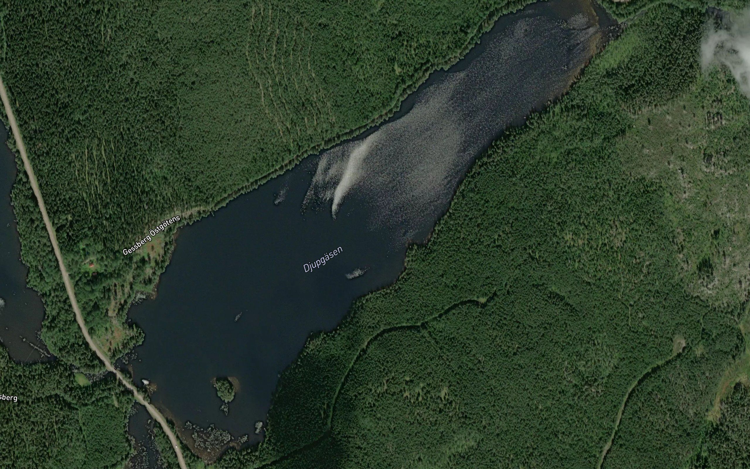 Djupgaesen