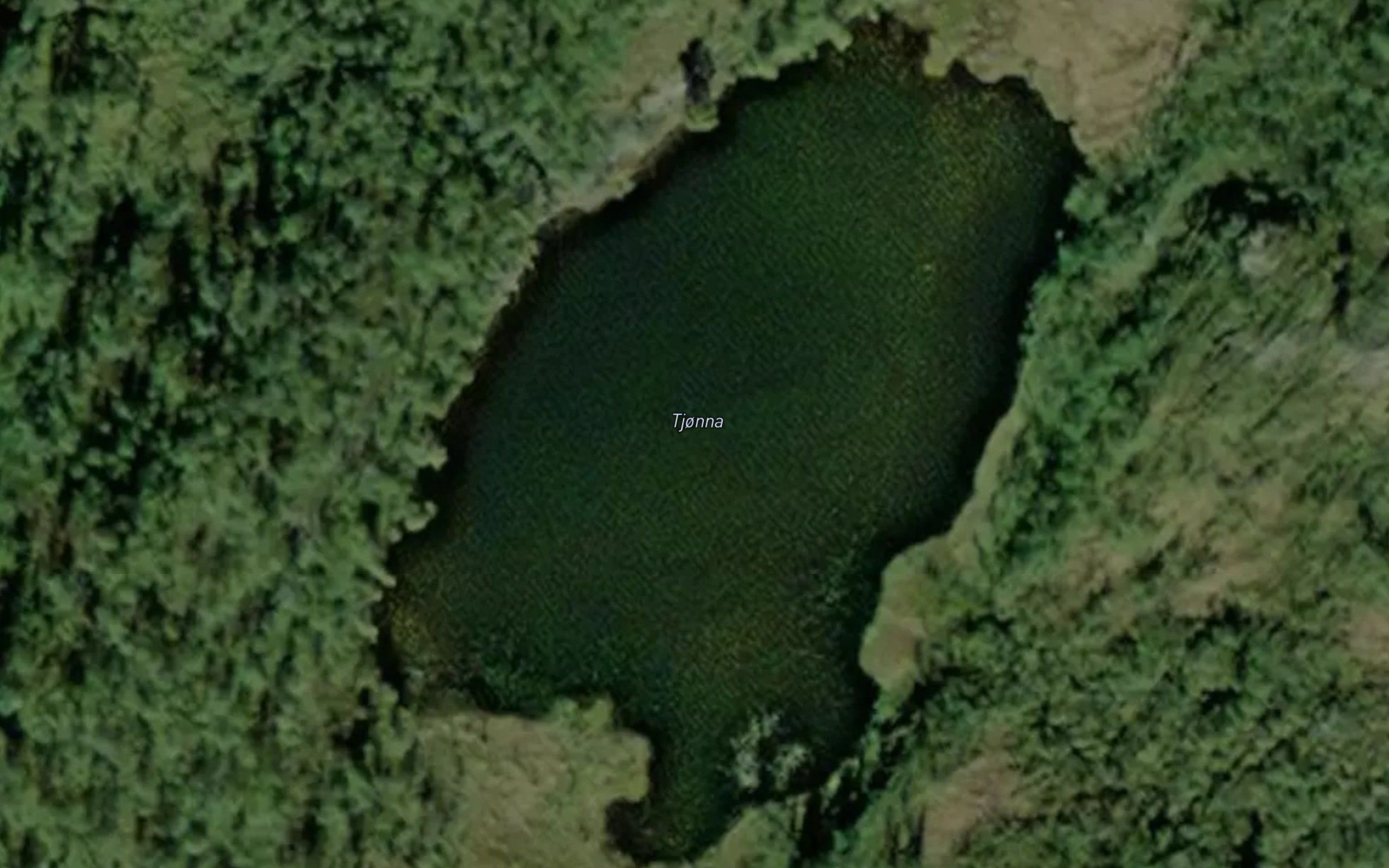 Tjonna