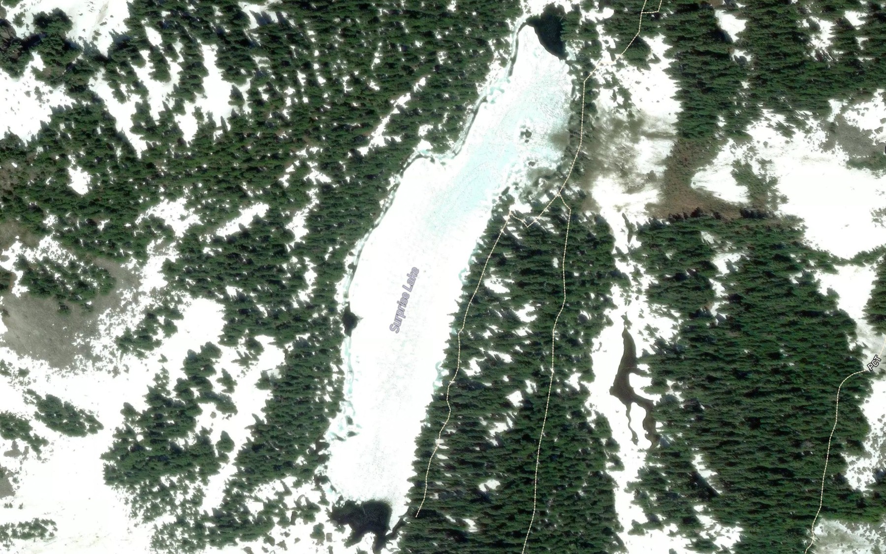 Satellite map of the Surprise Lake