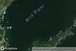 Wild Bight