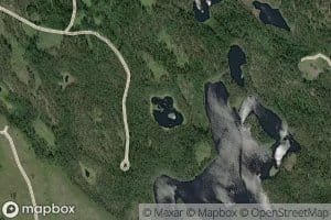 Petrolampi