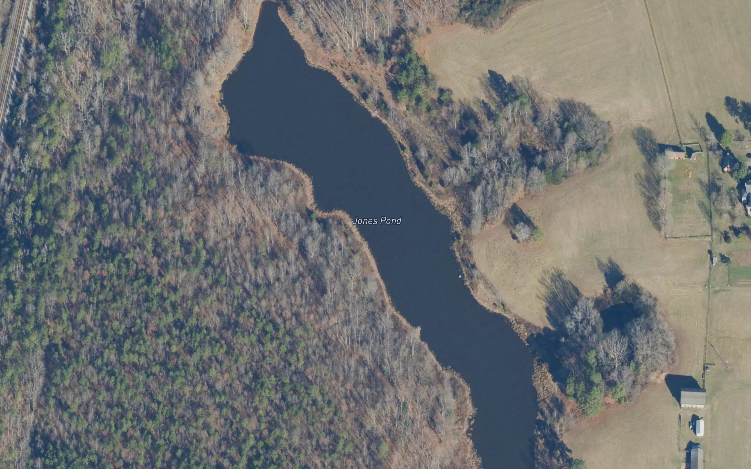 Jones Pond