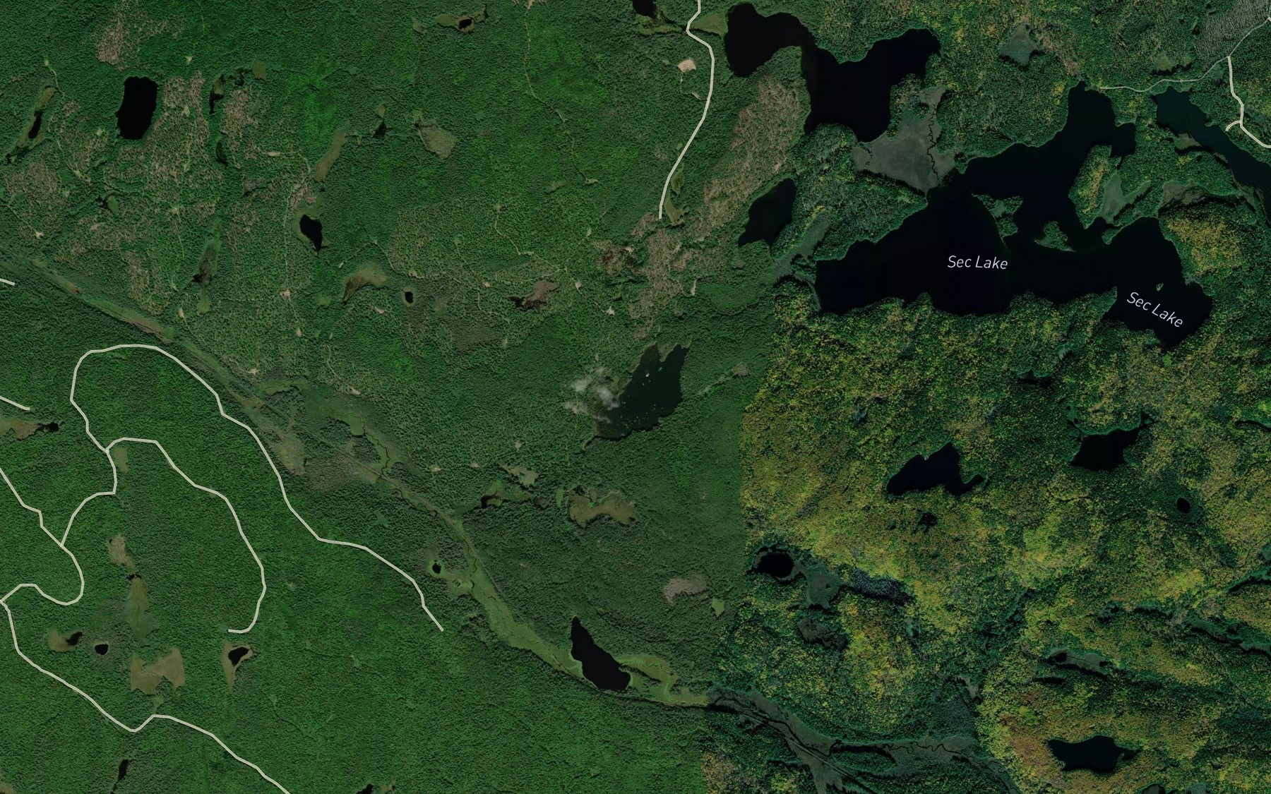 Satellite map of the Turquoise Lake