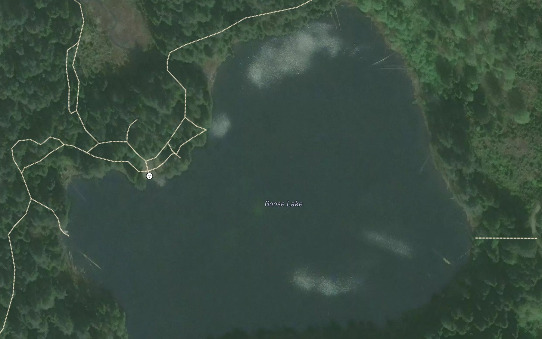 Satellite map of the Goose Lake
