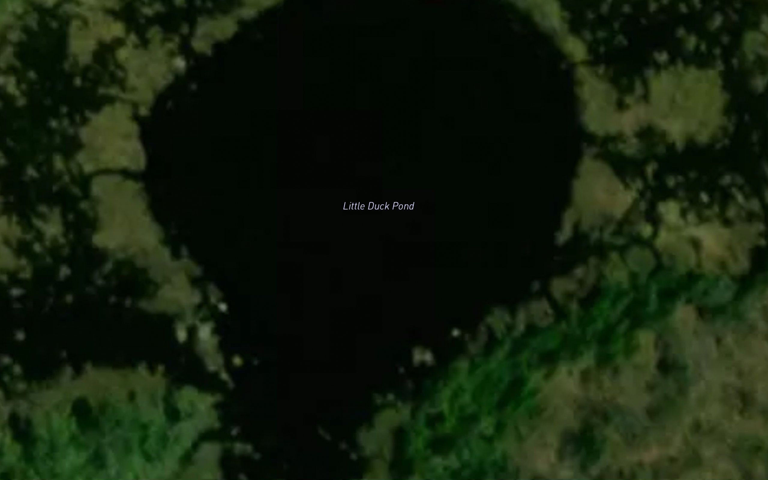 Little Duck Pond