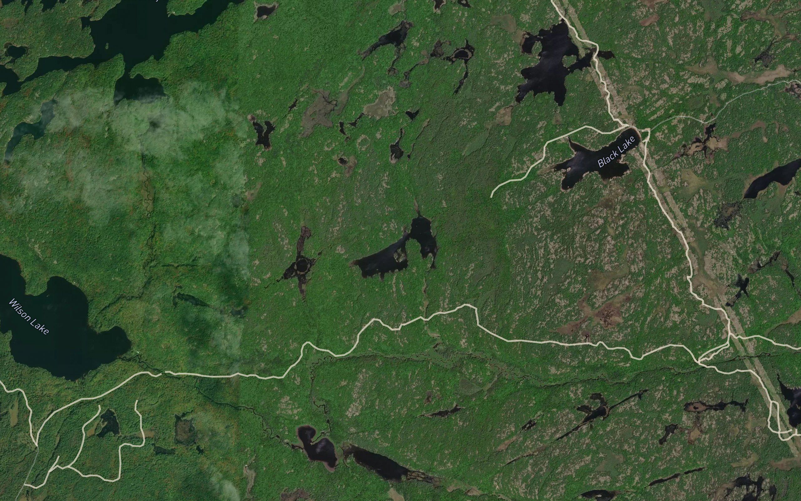 Oxbow Lake