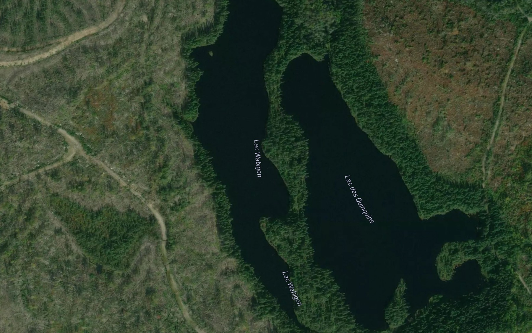 Satellite map of the Lac Wabigon