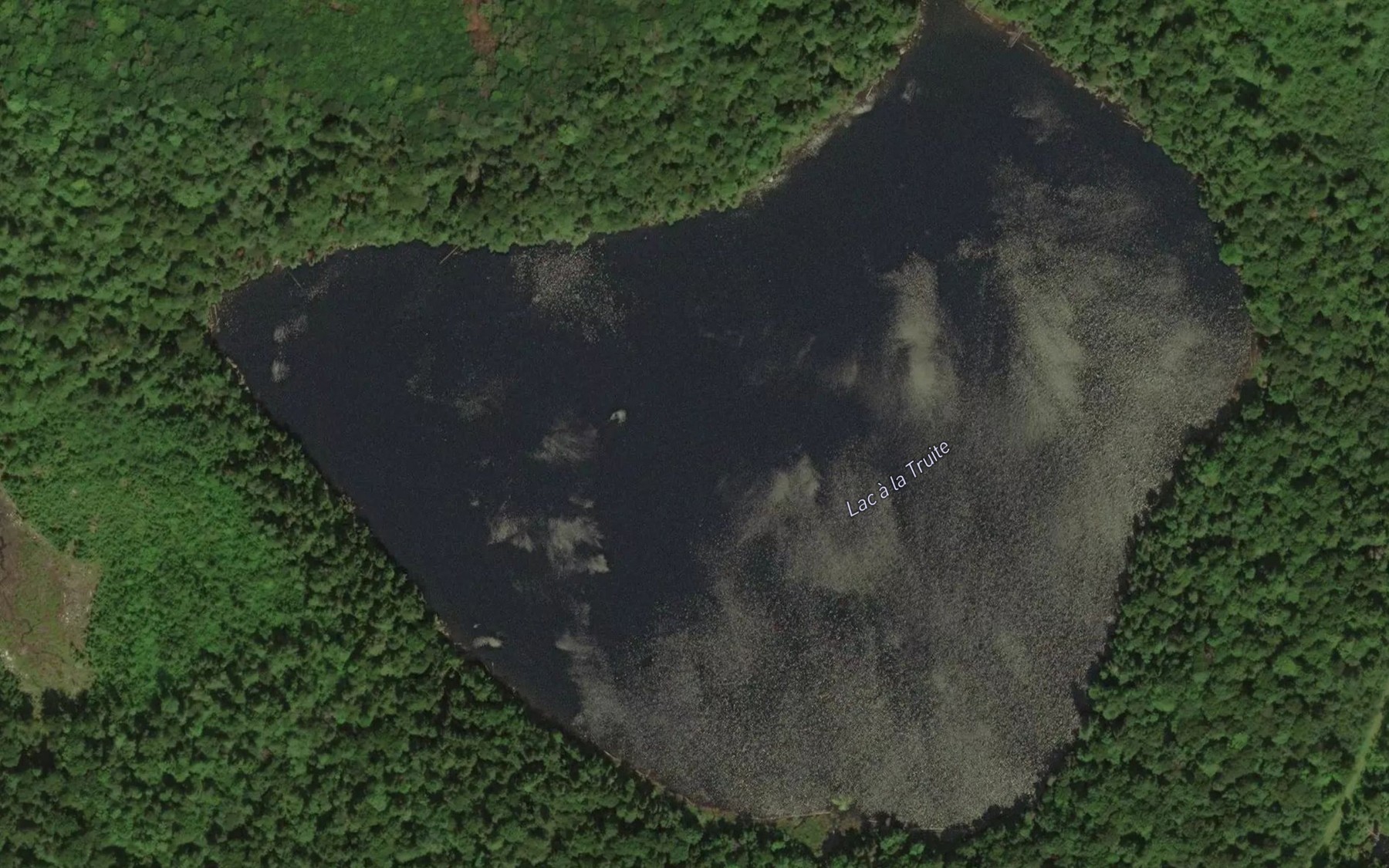 Satellite map of the Lac a la Truite