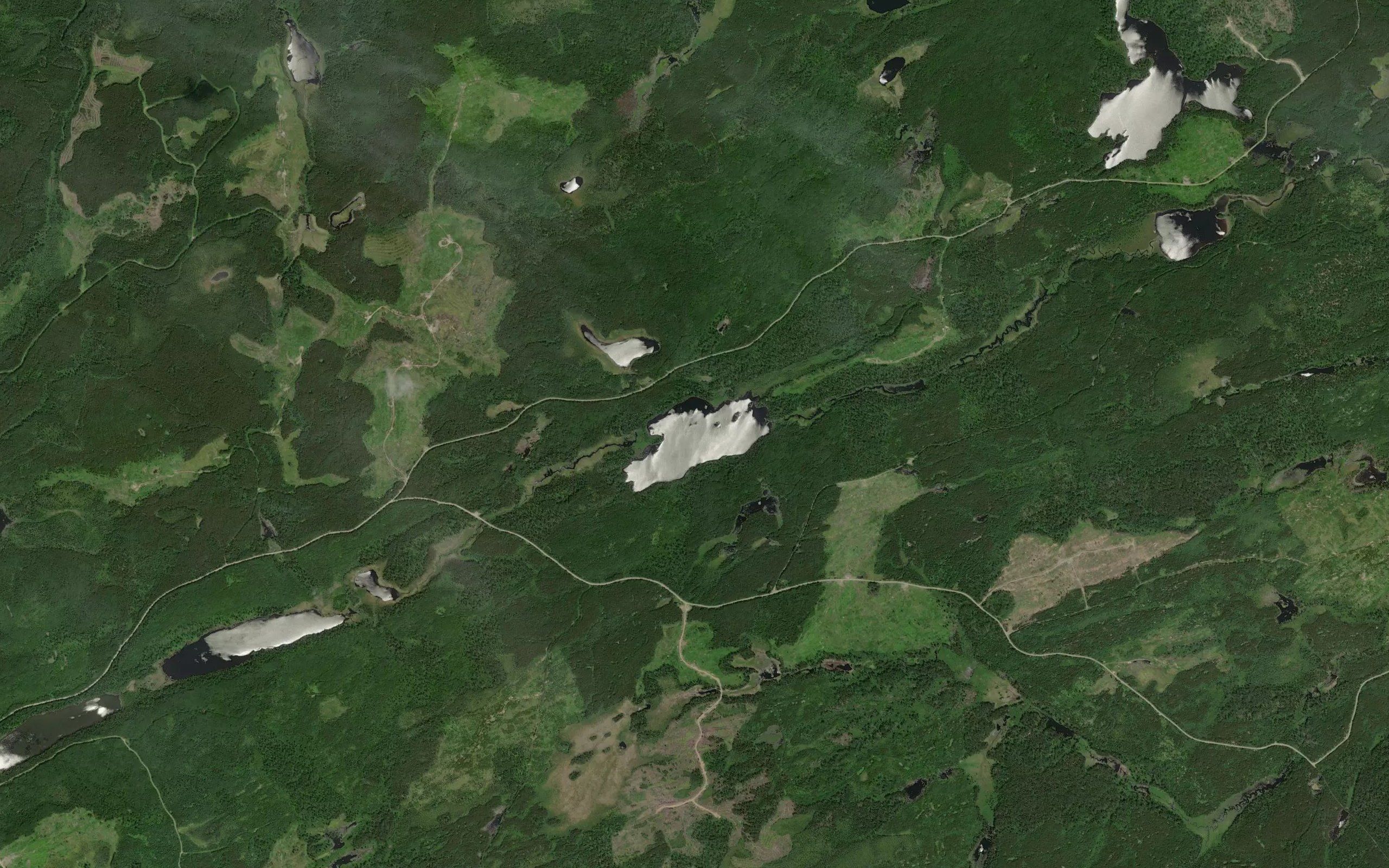 Kerfoot Lake