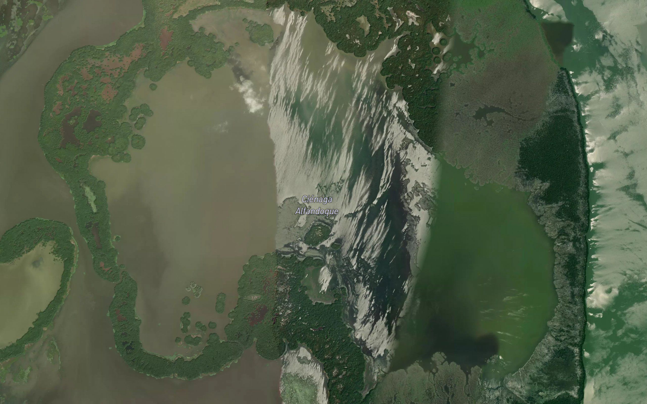 Cienaga Alfandoque