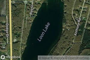 Loon Lake