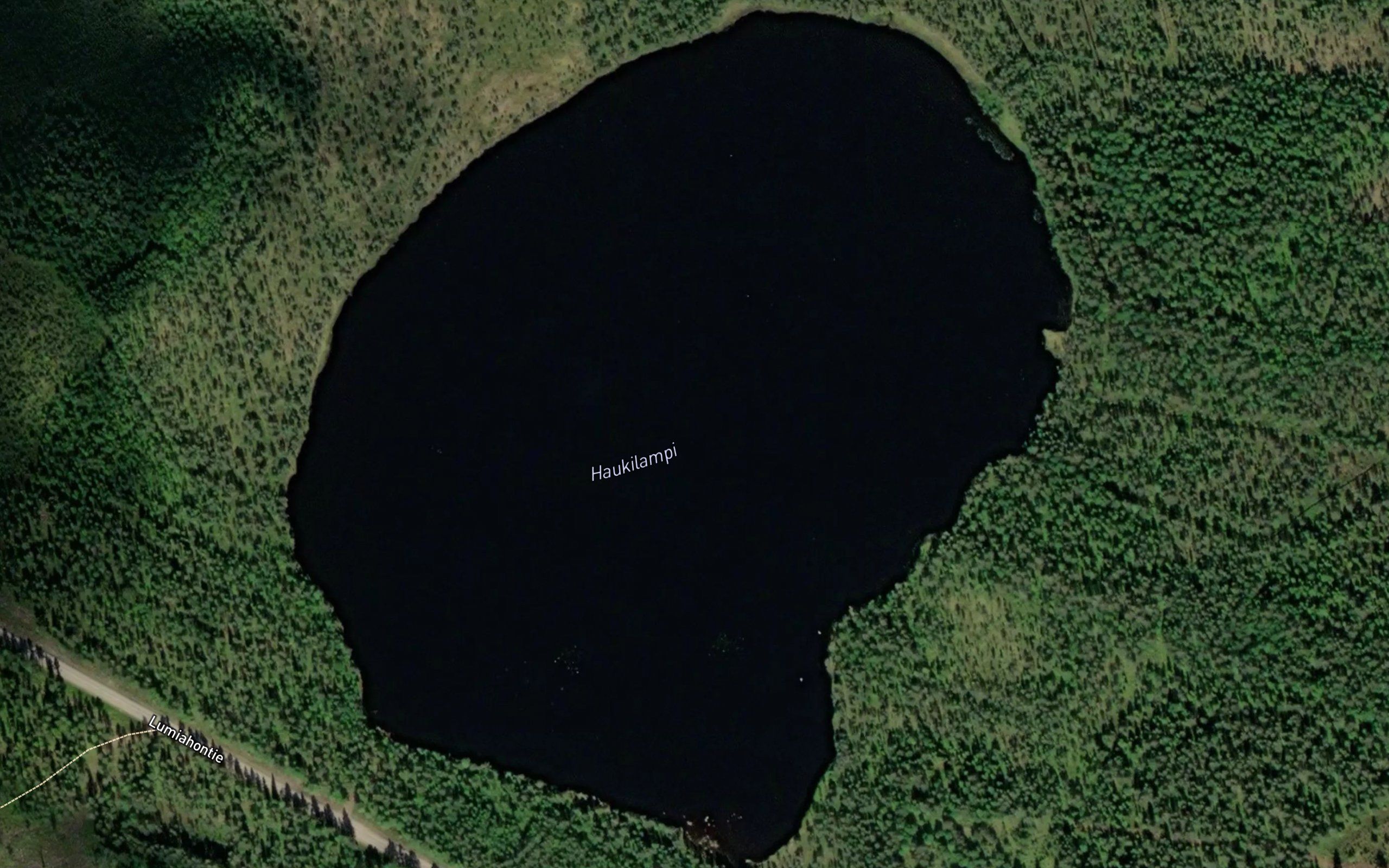 Haukilampi