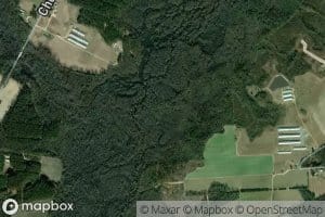 Merkle Swamp