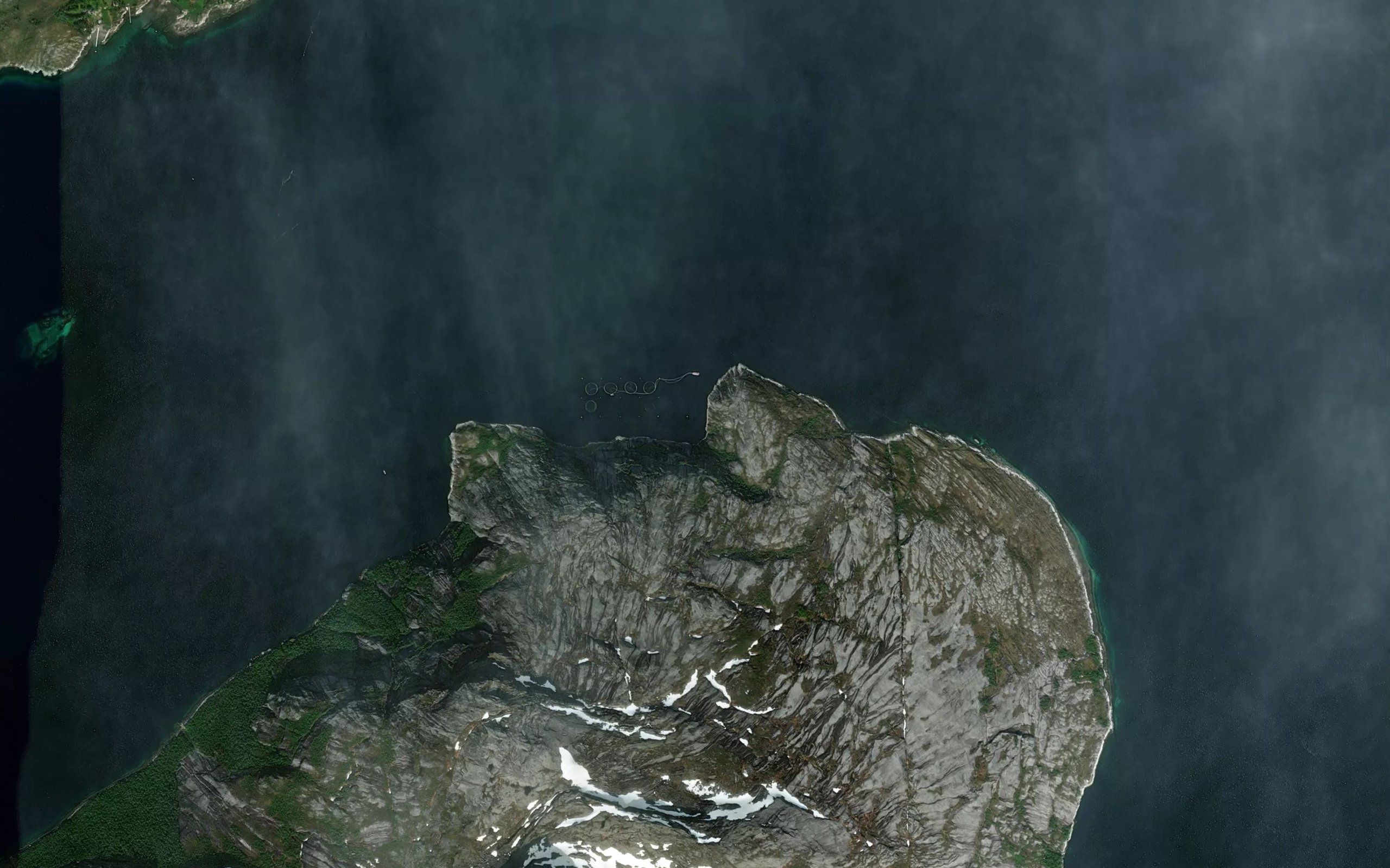 Vindvika