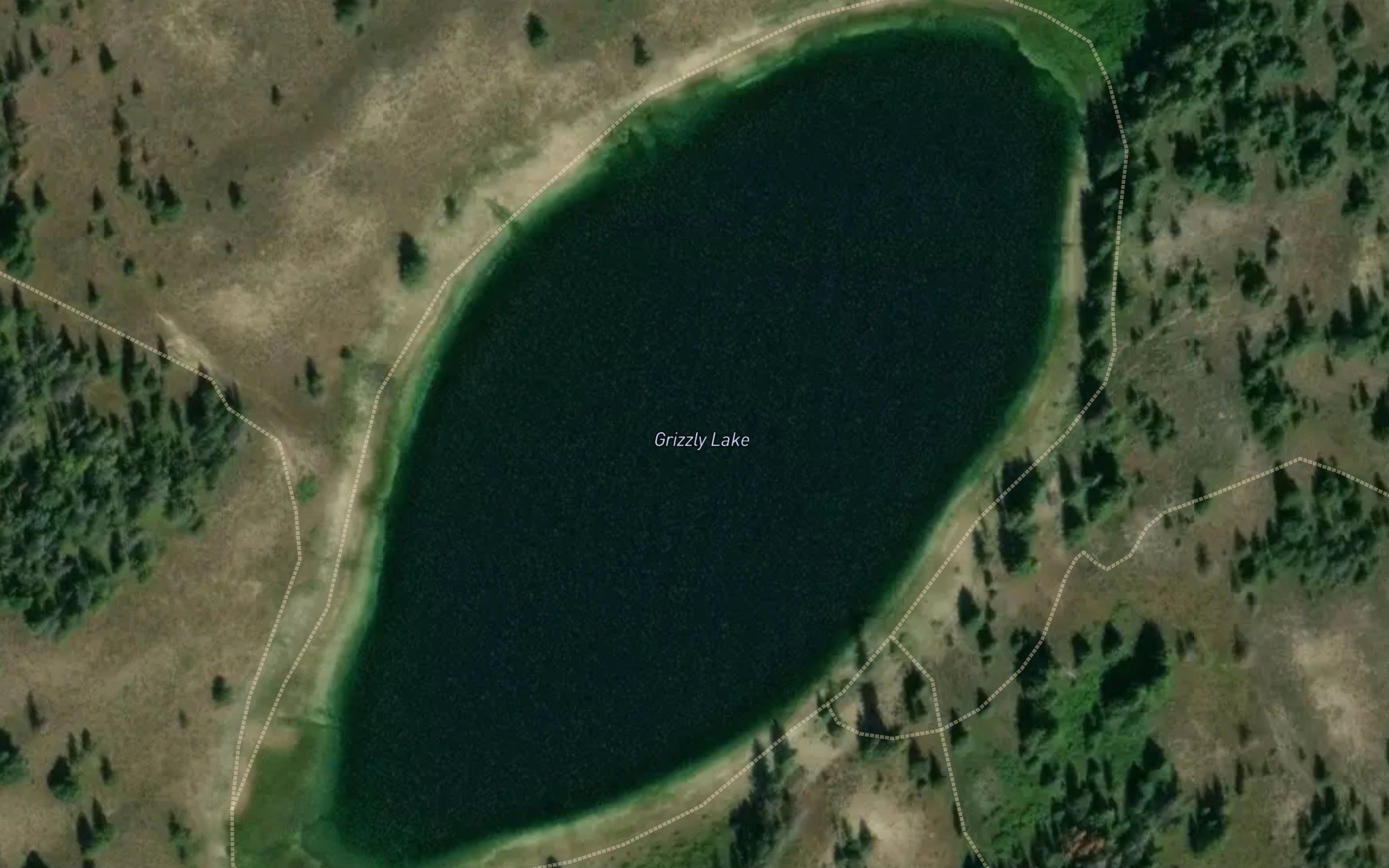 Grizzly Lake