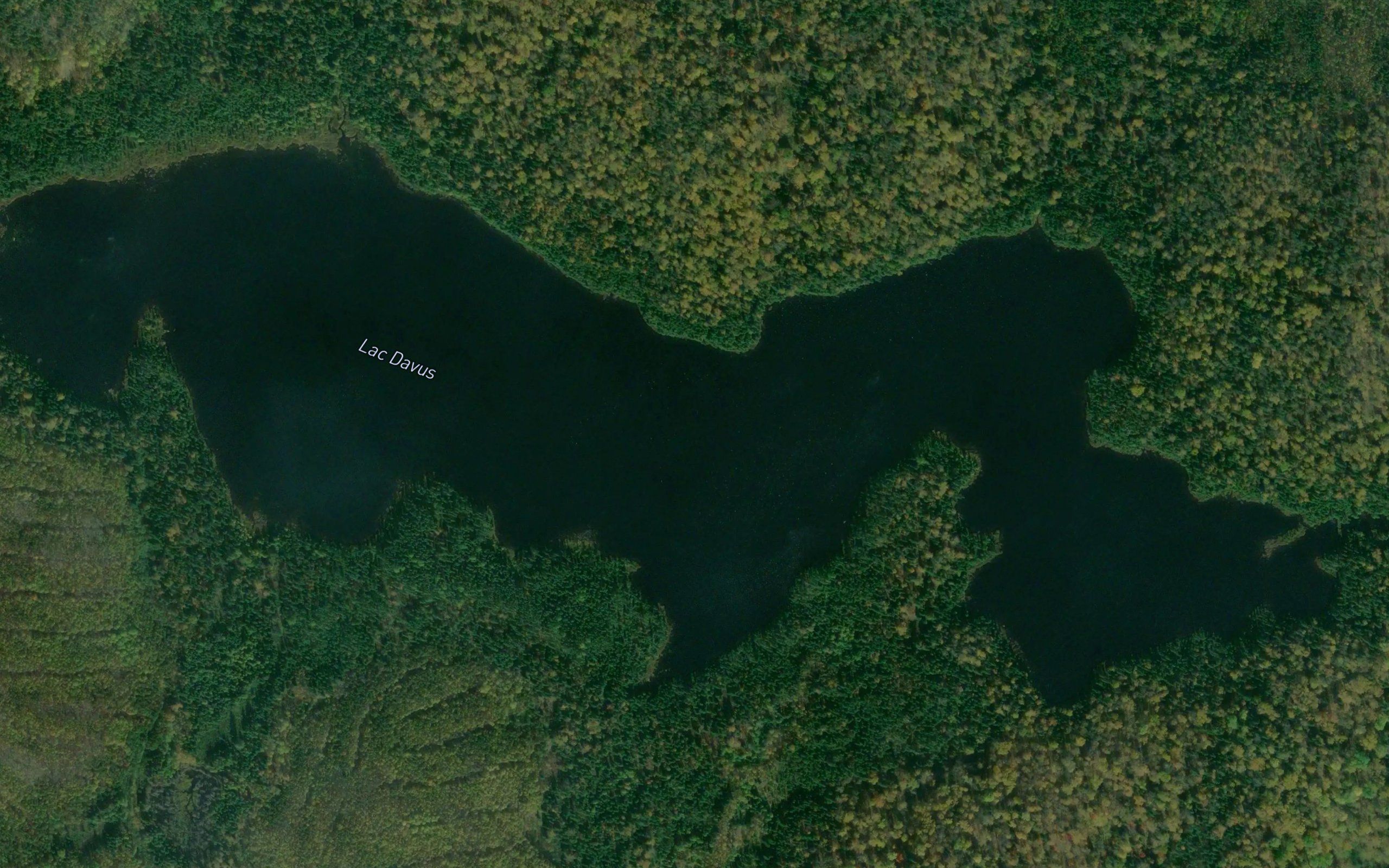 Lac Davus