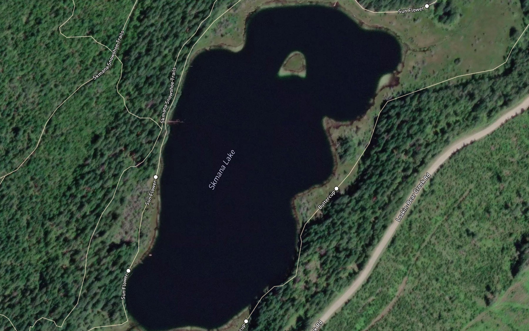 Satellite map of the Skmana Lake