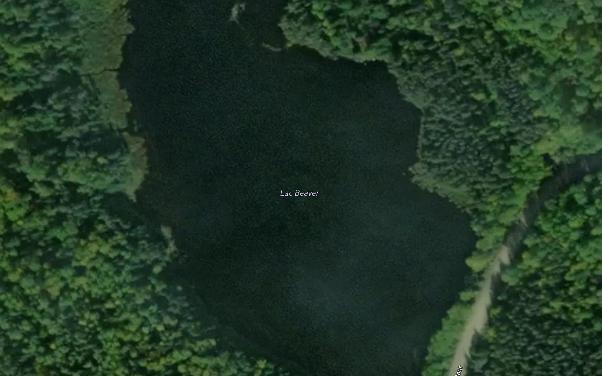 Lac Beaver