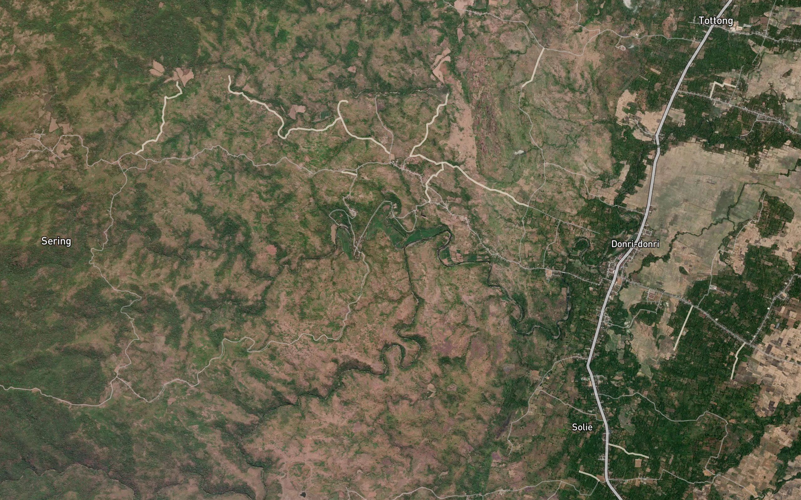 Salo Salau
