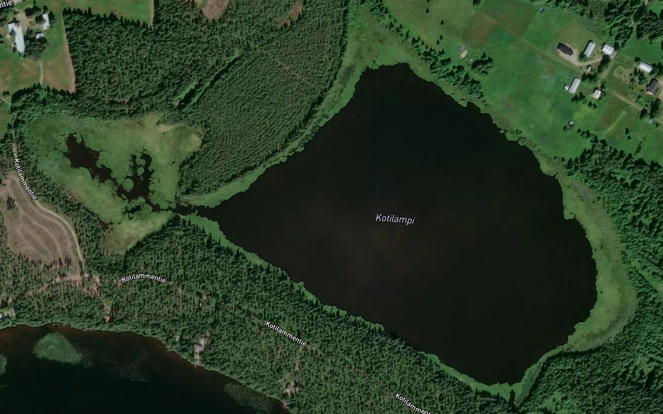 Kotilampi
