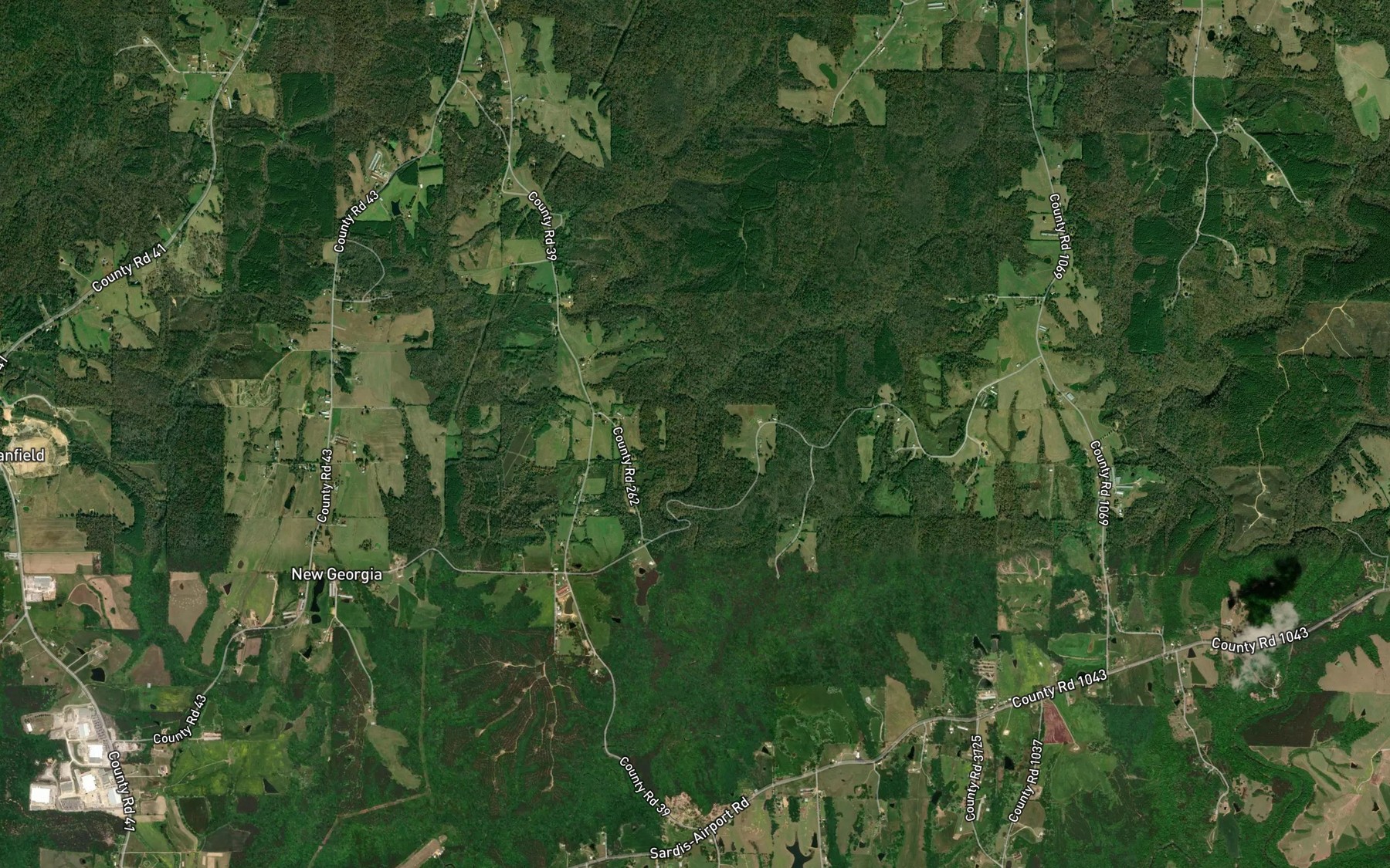Satellite map of the Long Branch
