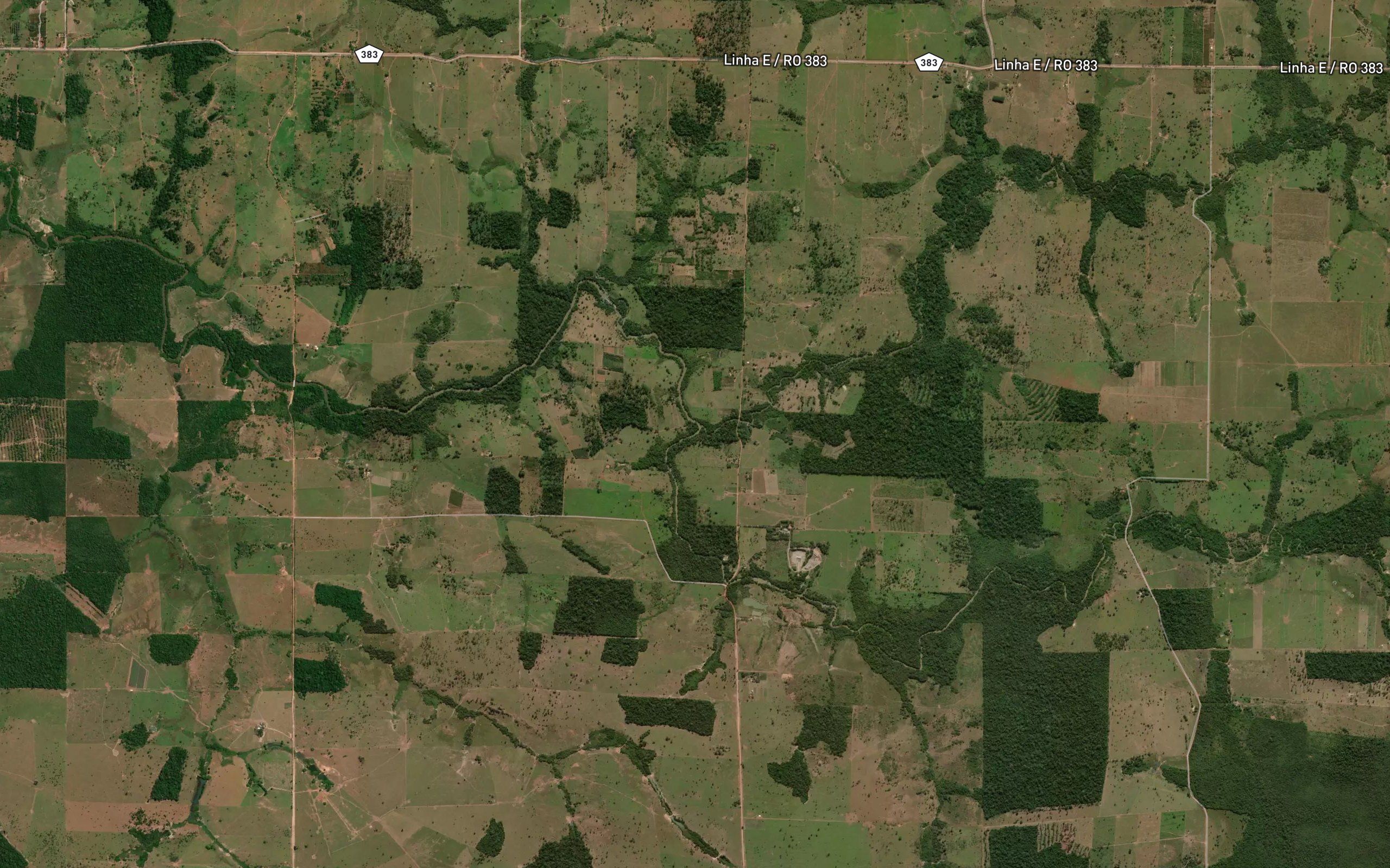 Igarape Palmeira