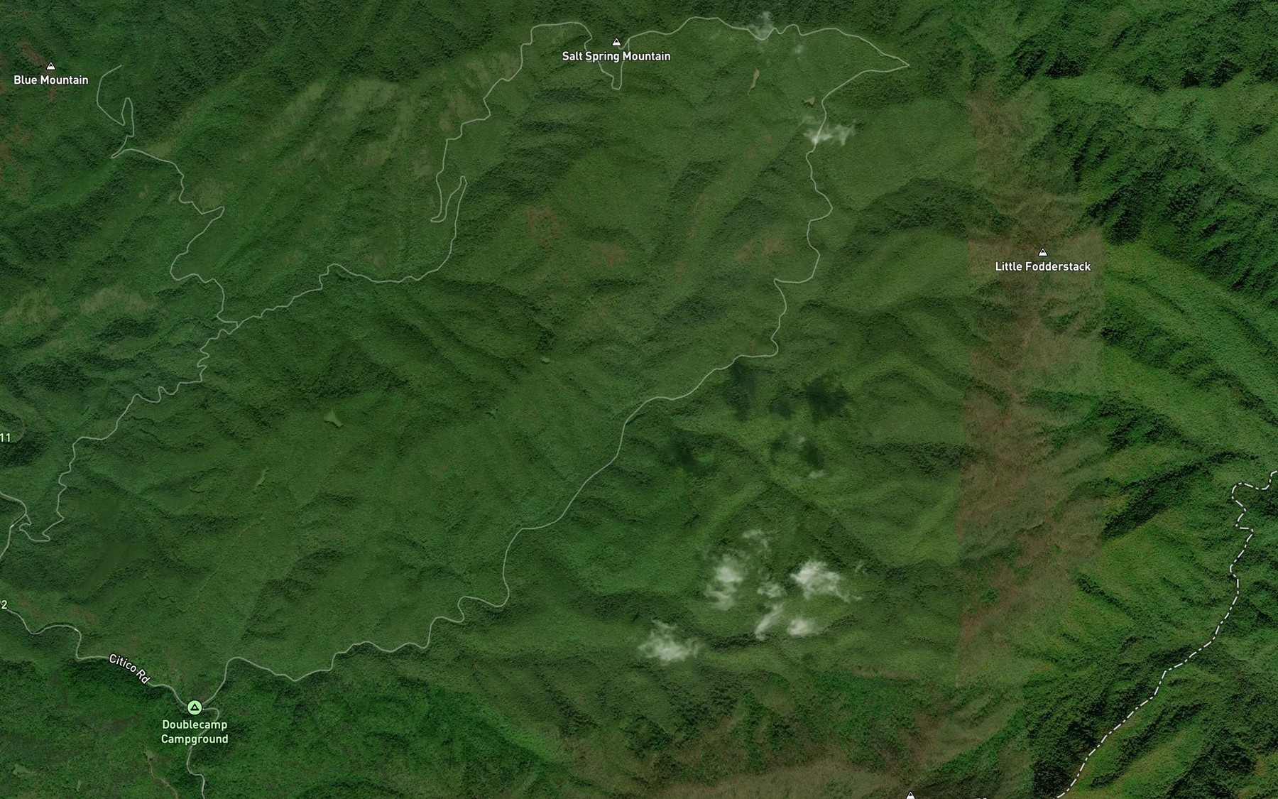 Satellite map of the Flint Branch
