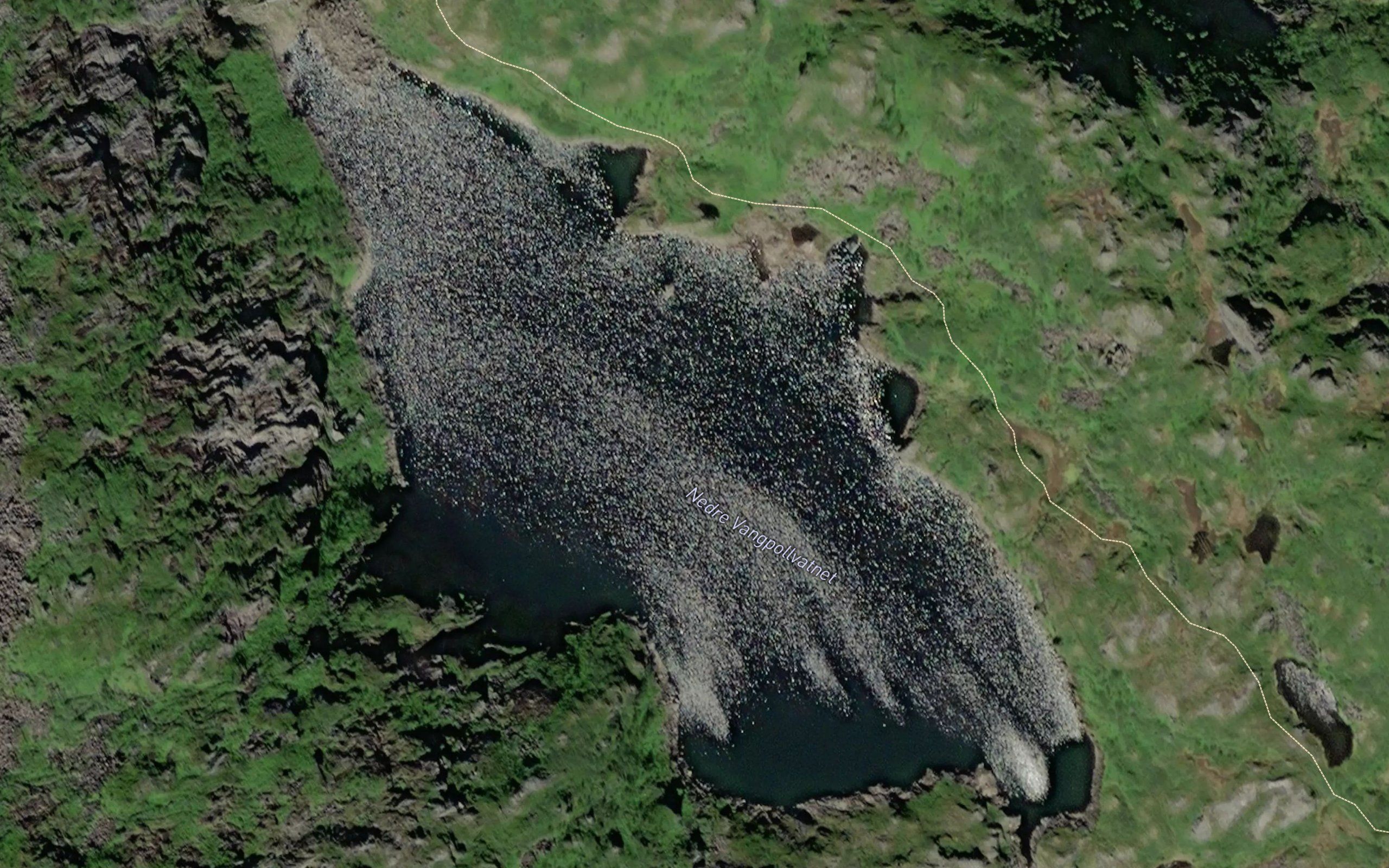 Nedre Vangpollvatnet