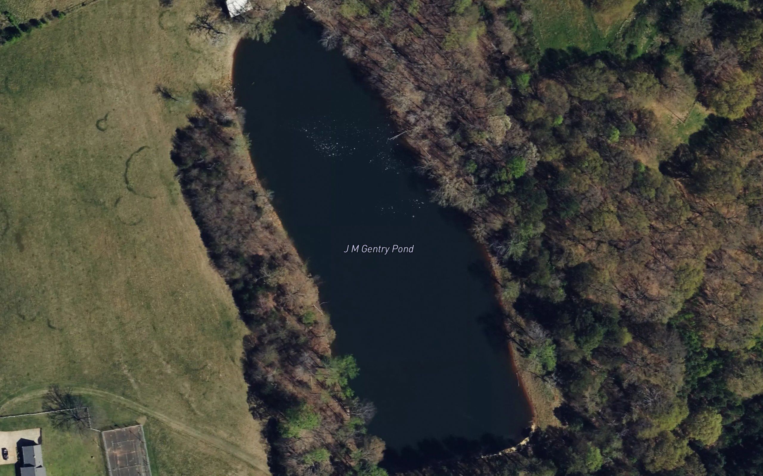 J M Gentry Pond