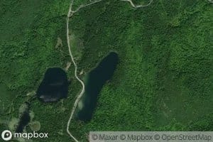 Lac Bass
