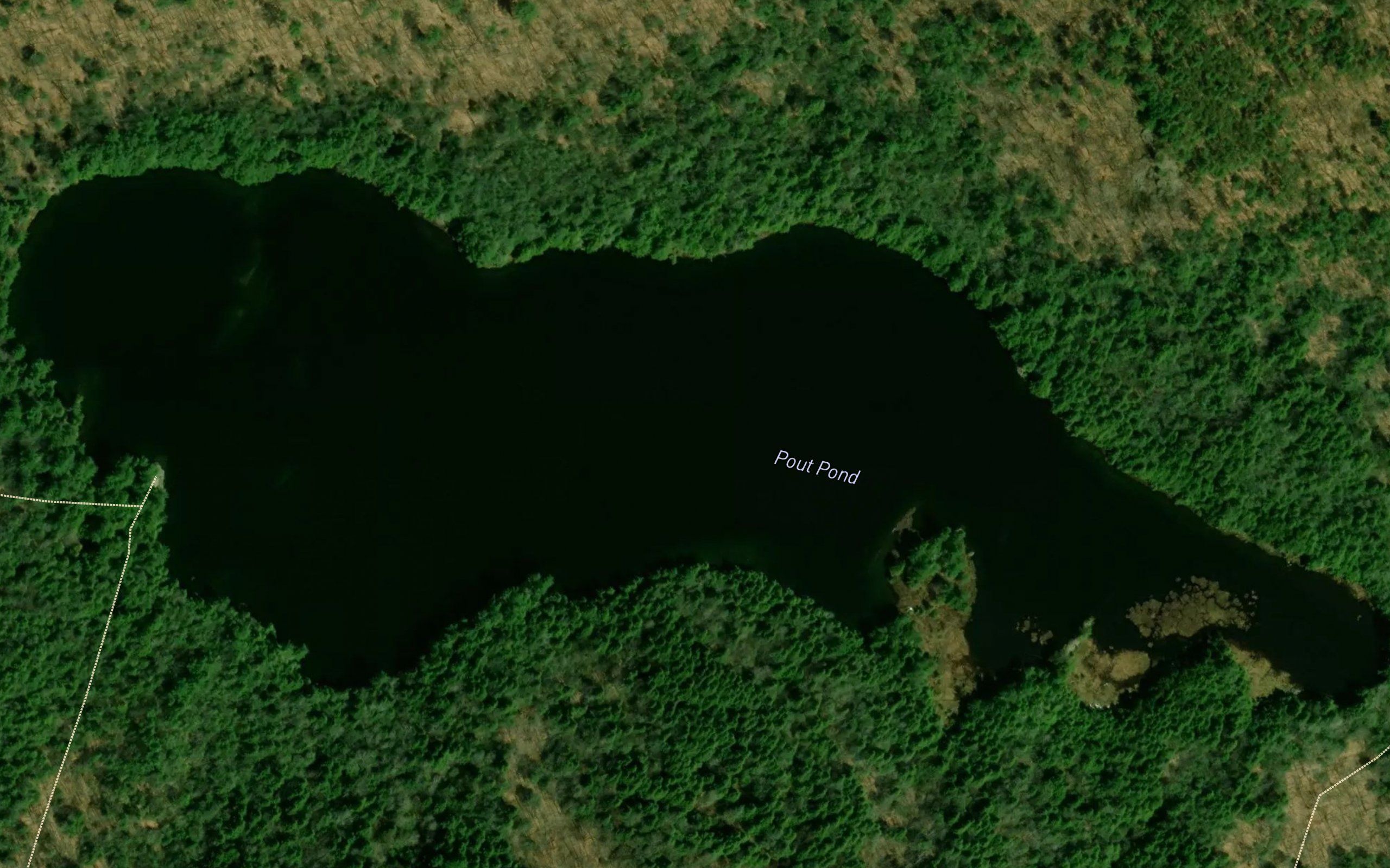 Pout Pond