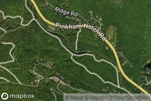 Spruce Brook