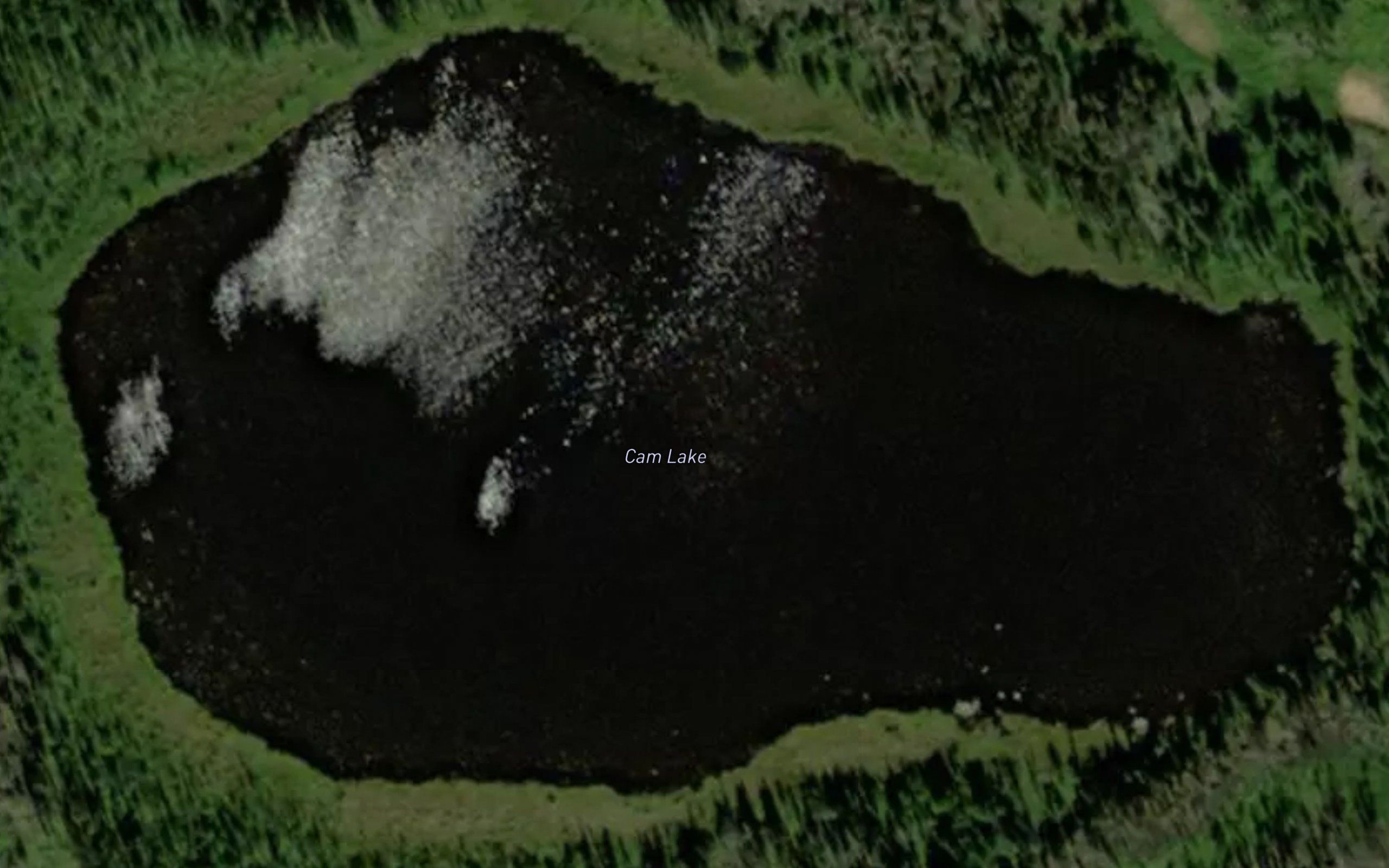 Cam Lake