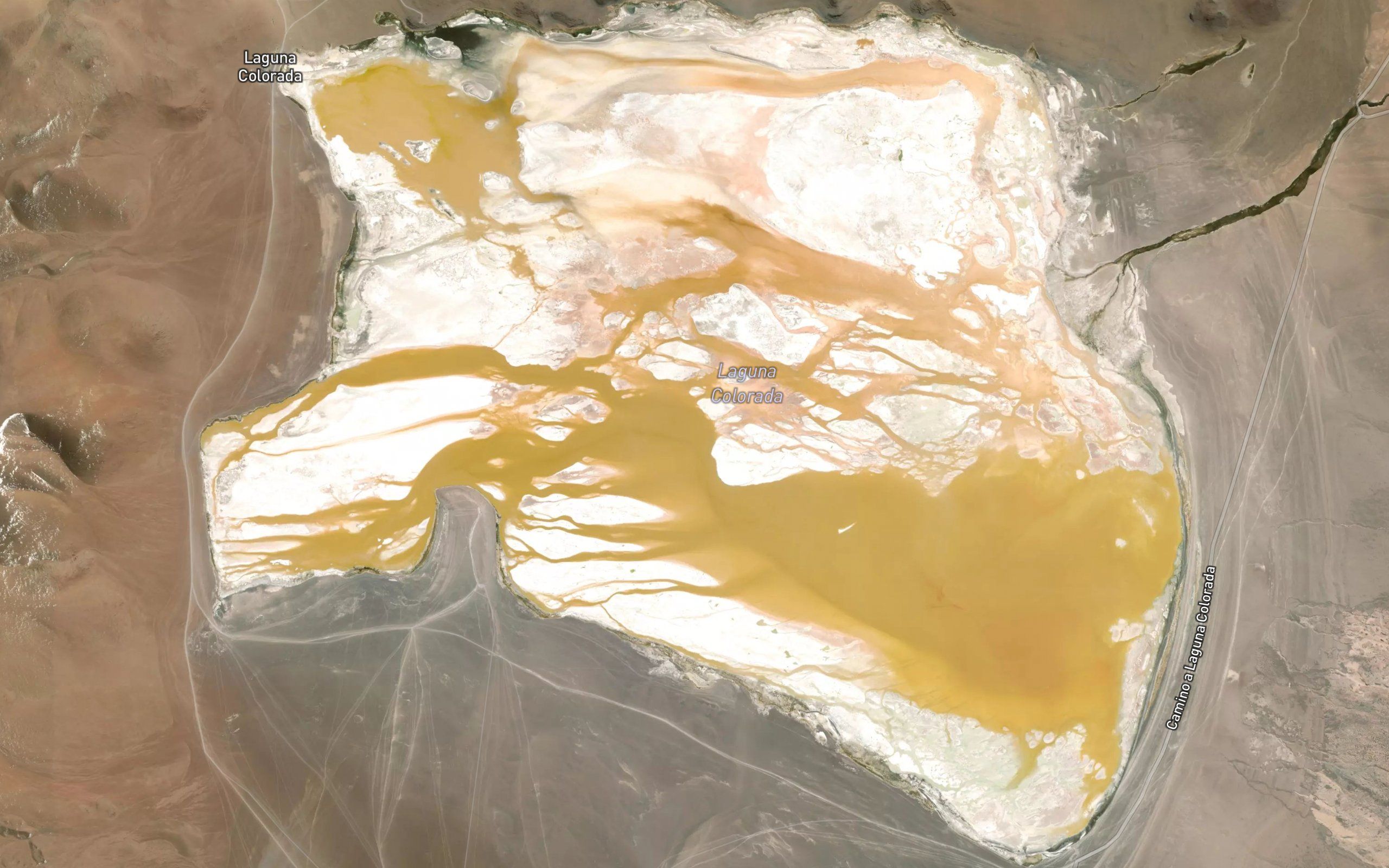 Laguna Colorada